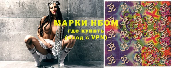 круглые Гусев