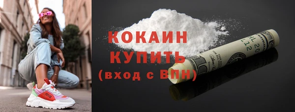 круглые Гусев