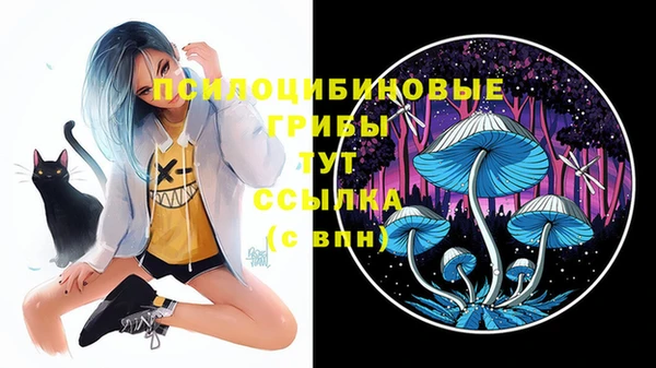 стаф Гусь-Хрустальный