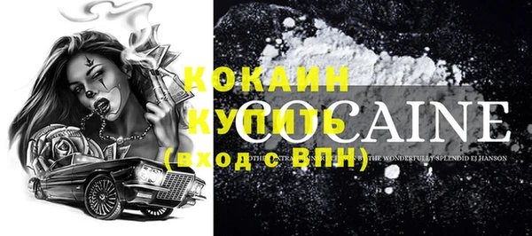 стаф Гусь-Хрустальный