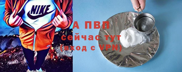 круглые Гусев
