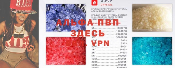 круглые Гусев