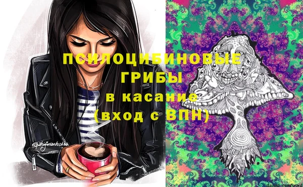 стаф Гусь-Хрустальный