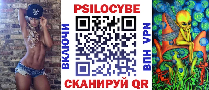 наркота  Меленки  Псилоцибиновые грибы мицелий 